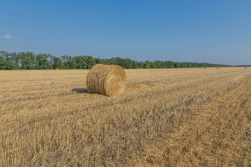 Haystack on the field