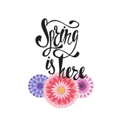 Spring is here calligraphic text with flowers. Hand drawn lettering.