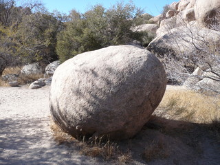 Joshua Tree National Park