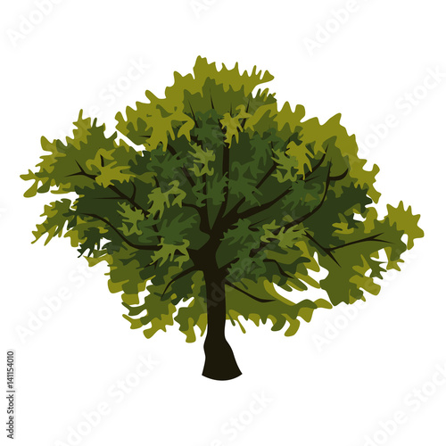 oak tree clip art vector - photo #47