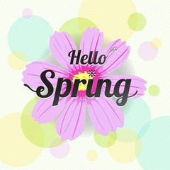 Floral spring with pink flower and colorful background