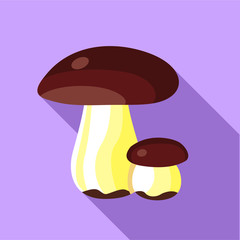 Porcini icon, flat style