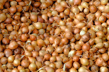 Markttag in Domodossola, Italien