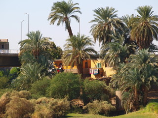 Fototapeta na wymiar Ansichten von einer Nilkreuzfahrt in Ägypten
