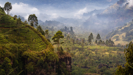 Landscape of Mountains and tea plantations with morning fog at Nuwara Eliya, Sri Lanka