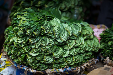 Betel Leaves at a local market in Kandy, Sri Lanka