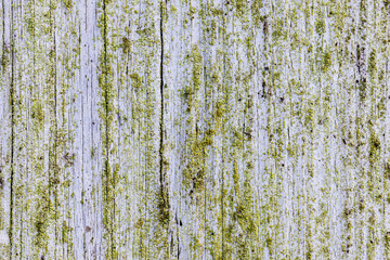 Obraz premium Upright board wall with white paint