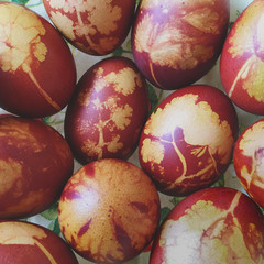 Traditionell mit Zwiebelschalen und Kräutern gefärbte Ostereier