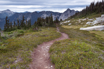 Fototapeta na wymiar Needle Peak Trail Hiking in the Mountains