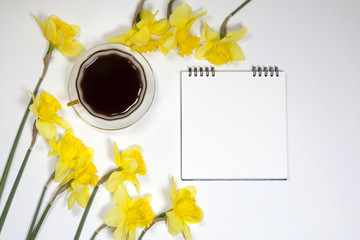 Cup of coffee and a saucer, daffodils on a white background