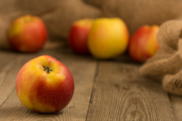 Close-up of a red and yellow apple with four more apples and hessian in the background