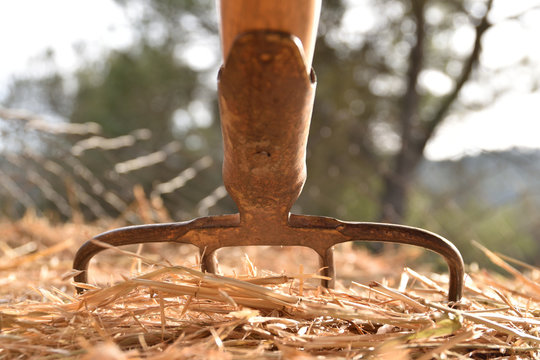 Trabajar en el campo