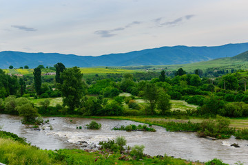 Fototapeta na wymiar Amazing landscape with Debed river, Armenian-Georgian border