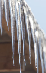Icicles from the roof of the house