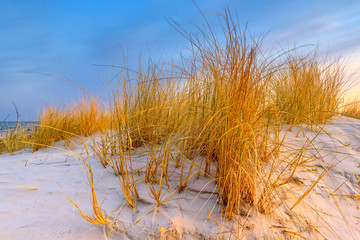 Grass, white sand dunes beach in the morning on the shore of the Baltic Sea. Poland.	