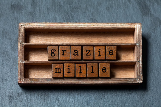 Grazie mille. Many thanks in Italian translation. Vintage box, wooden cubes phrase message written with old style letters. Gray stone textured background. macro, up view, soft focus