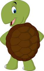 Cartoon cute turtle posing
