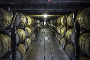 bourbon barrels - obrazy, fototapety, plakaty