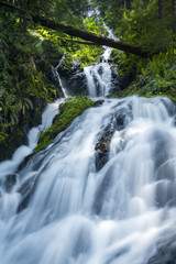 Fototapeta na wymiar Waterfall Green Nature