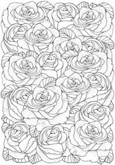 pattern for coloring book with roses.