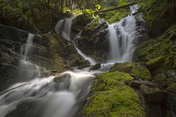 Cascade Creek, Washington State, USA