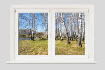 View from the window to the spring birch forest