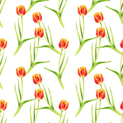 seamless pattern with watercolor red tulips