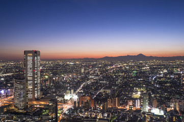 Fototapeta premium Tokyo city at twilight with Mt Fuji on the background