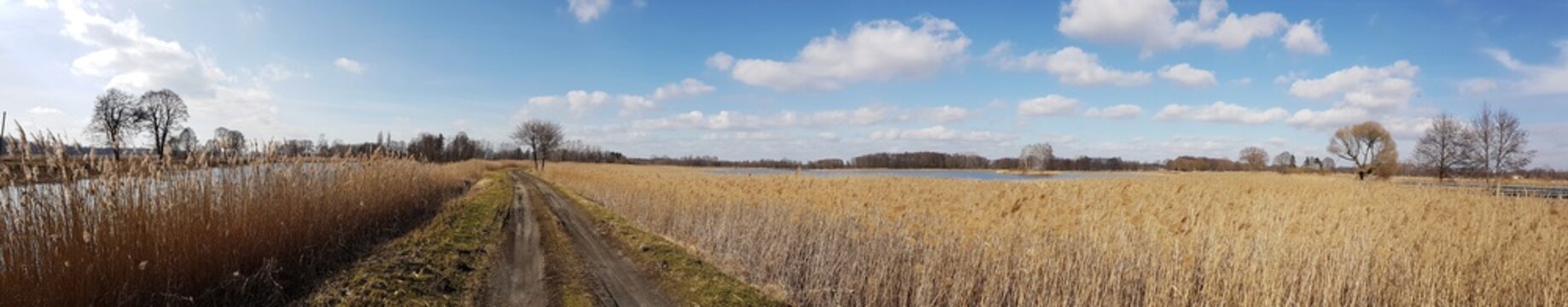 Fototapeta Panorama droga polna