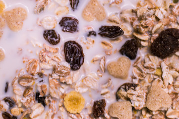 diet