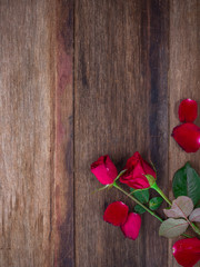 red roses on wooden Board