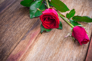 red roses on wooden Board