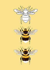 Collection of realistic bumblebees. Vector illustration, isolation on a peach background.