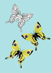 Collection of yellow, black, blue, red, purple realistic butterflies. Vector illustration, isolated on a white background. Vector illustration, isolated on a white background.
