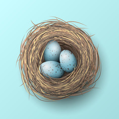 Nest with blue eggs on blue background, illustration
