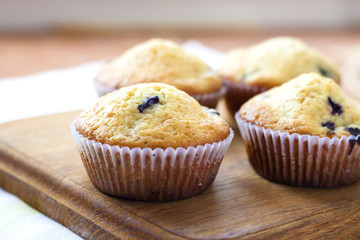Homemade muffins with blueberries on a wooden board