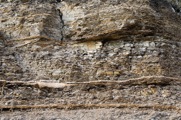 texture of the soil