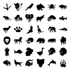 Set of 36 wild filled icons