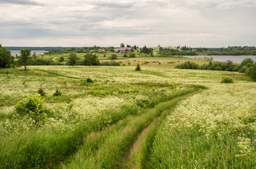 Summer rural landscape