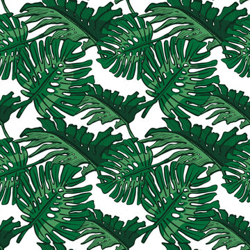 Tropical plants seamless background