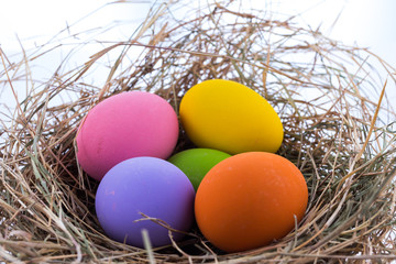 color eggs
