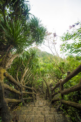 Fototapeta premium Climbing up the Marble mountains, Da Nang, Vietnam