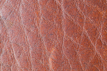 Fototapeta na wymiar Skin background with a red tint