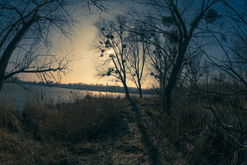 Spring landscape fisheye river on nature sunny