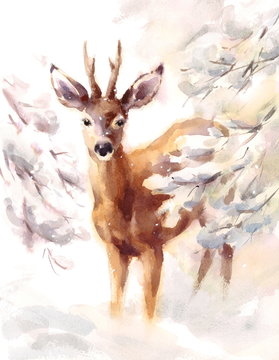Watercolor Deer Hand Painted Winter Scene Illustration 