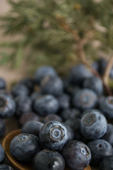 Ripe berries