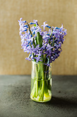 Spring concept with hyacinth