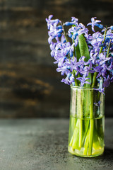 Spring concept with hyacinth