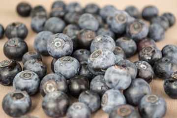 Huckleberry
