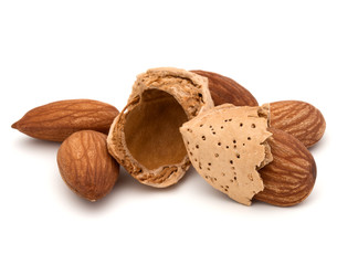 Almond nut in shell and shelled isolated on white background close up